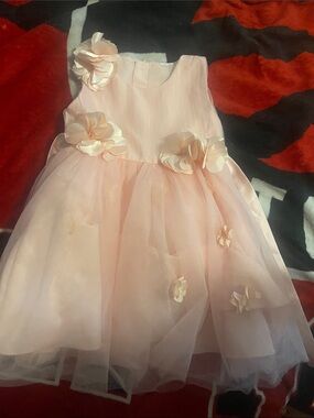 Sleeveless Peach Floral Appliqué Tulle Party Dress for Girls
